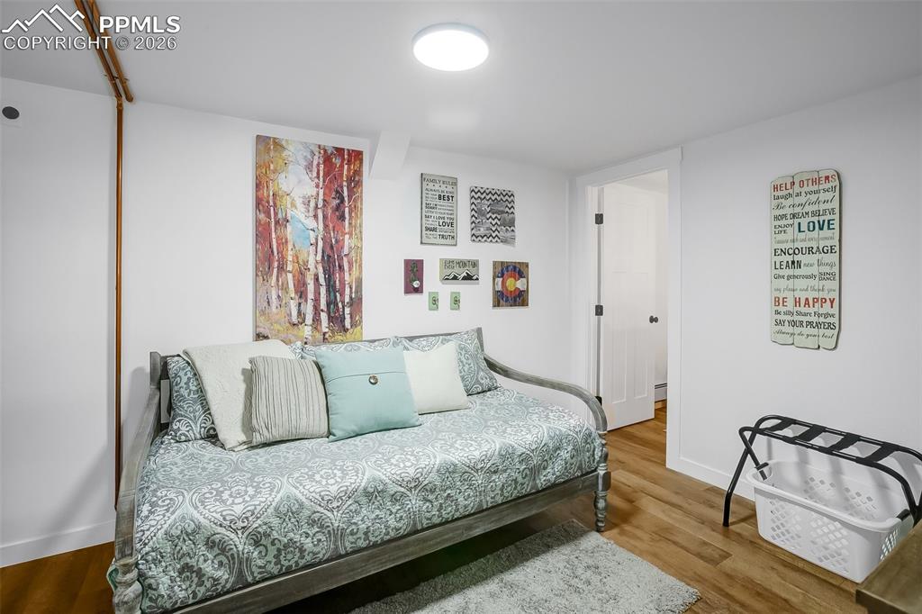 222 Nottingham Lane Divide, CO 80814 - Photo 23 of 34 Lower Level Family Room