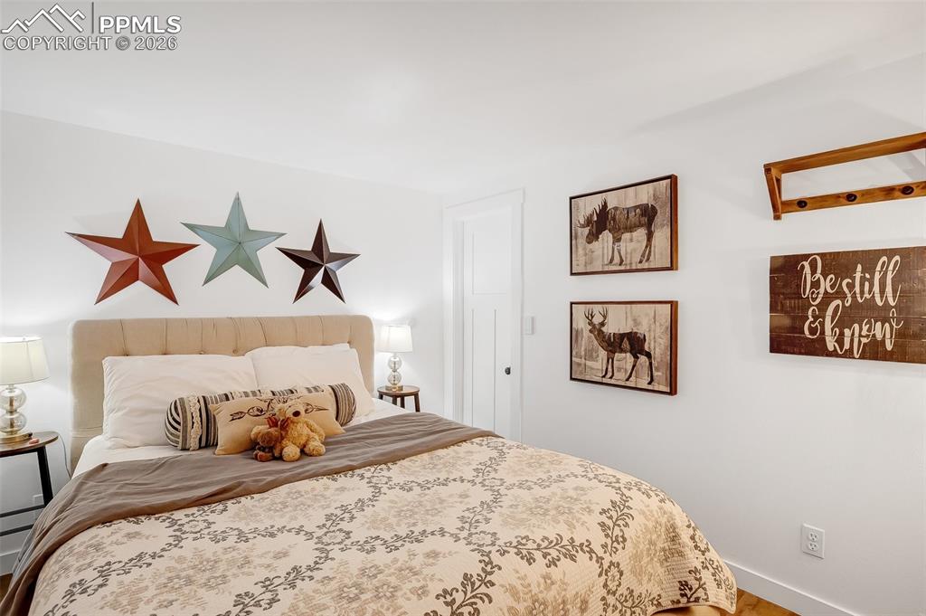 222 Nottingham Lane Divide, CO 80814 - Photo 28 of 34 Lower Level Bedroom 2
