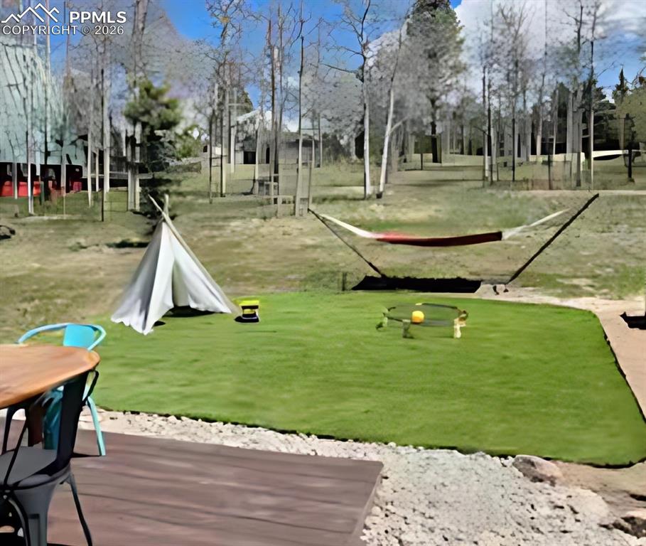 222 Nottingham Lane Divide, CO 80814 - Photo 33 of 34 Back Yard