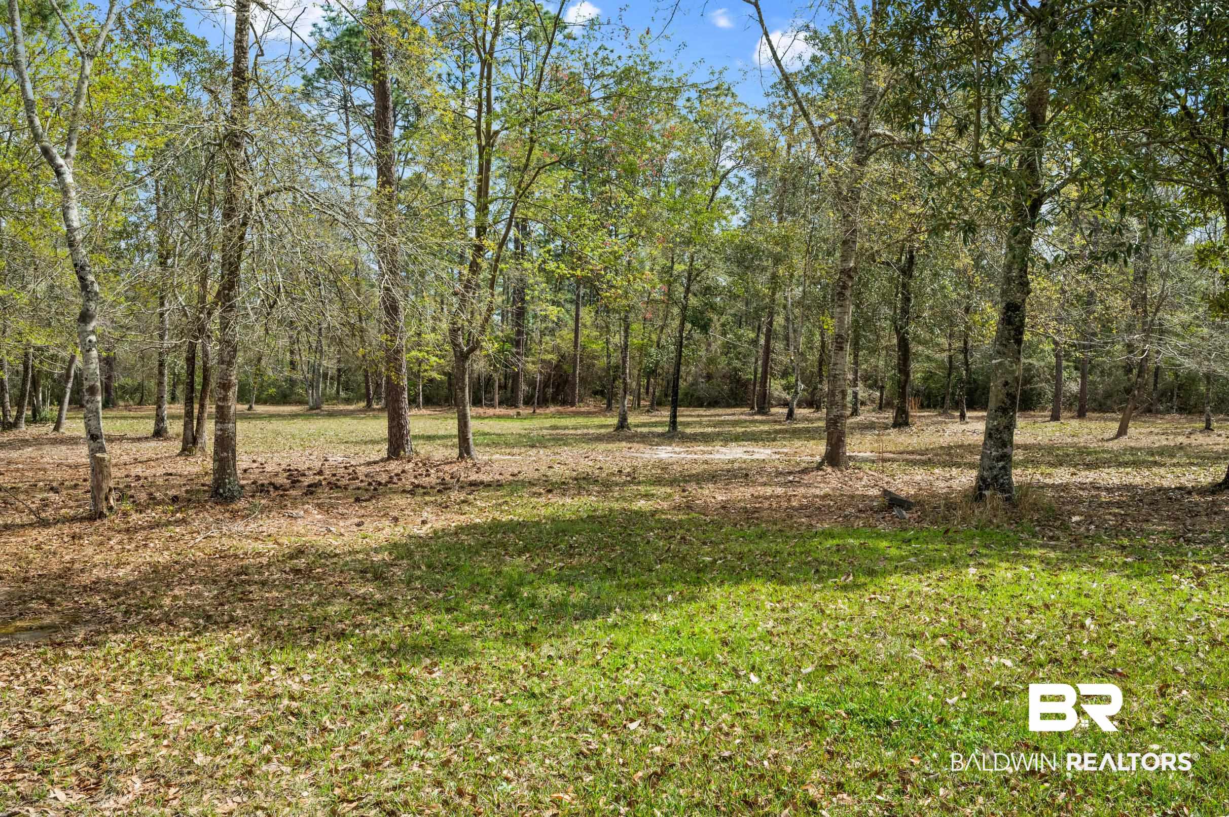 32720 Antietam Road Lillian, AL 36549 - Photo 40 of 50