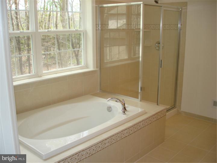 19 Stanwyck Road Mount Laurel, NJ 08054 - Photo 11 of 12 Master Bathroom