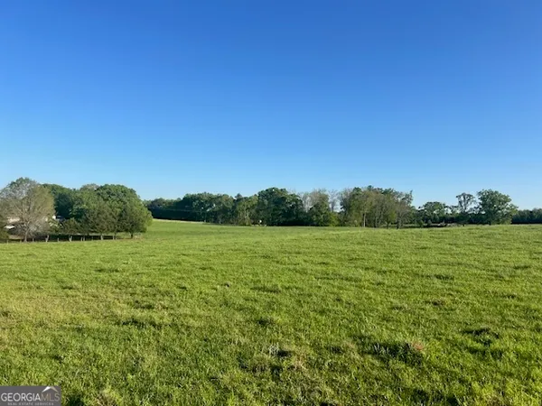 a big yard with lots of green space
