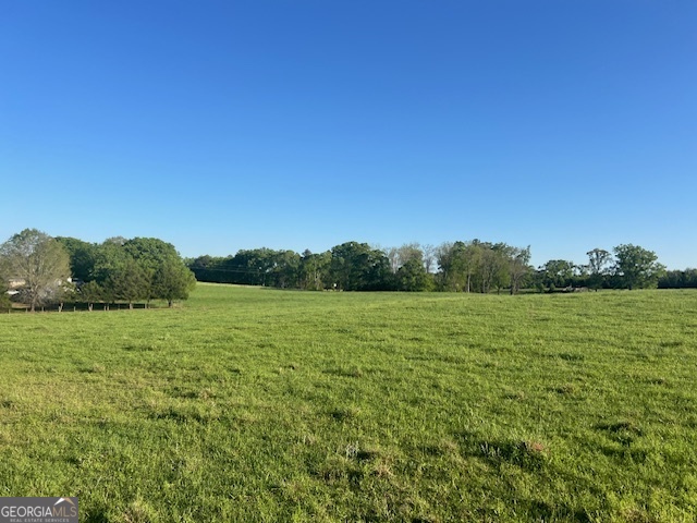 a big yard with lots of green space