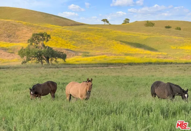 a view of an ocean from a mountain