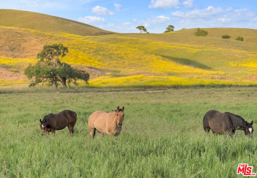 770 Limekiln Road Hollister, CA 95023 - Photo 11 of 39 a view of an ocean from a mountain