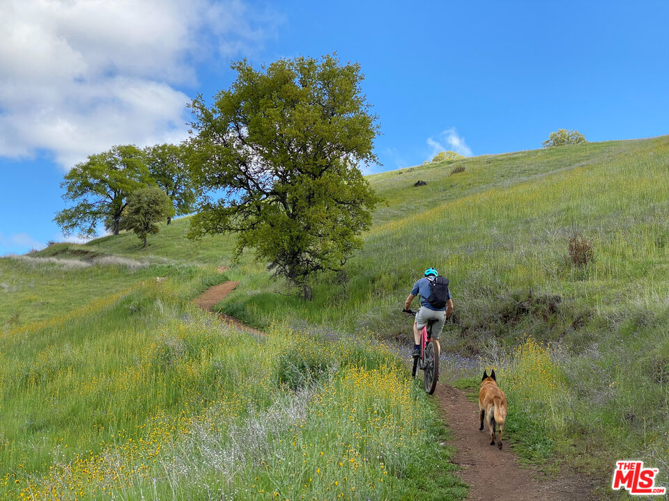 770 Limekiln Road Hollister, CA 95023 - Photo 15 of 39 a park view of a lake