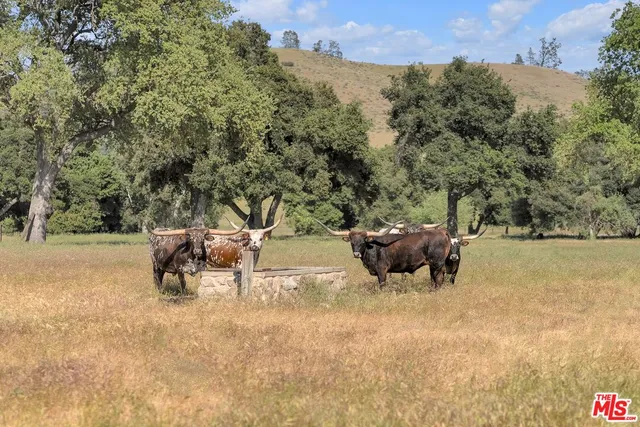 a view of outdoor space