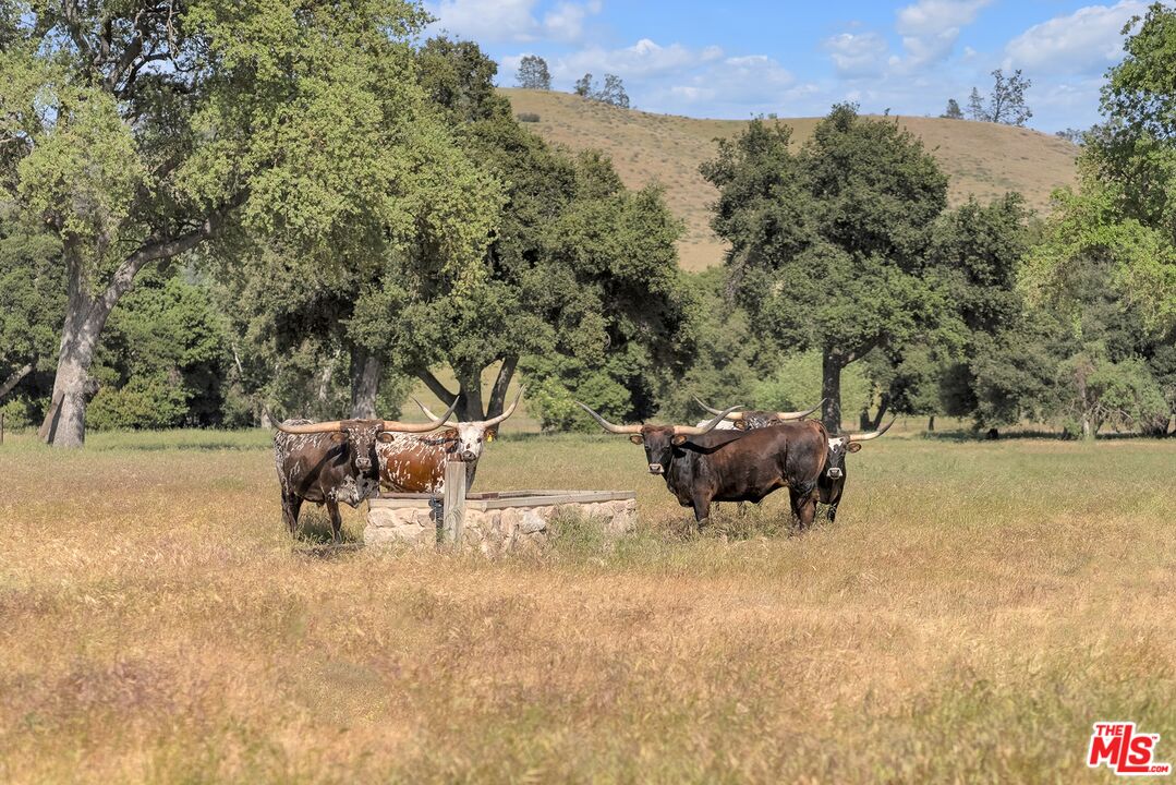 770 Limekiln Road Hollister, CA 95023 - Photo 26 of 39 a view of a couches in a patio