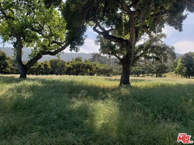 a view of yard with trees