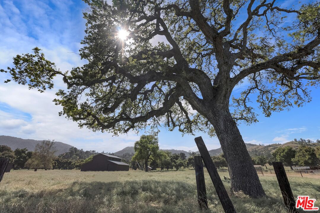 770 Limekiln Road Hollister, CA 95023 - Photo 30 of 39 a view of a backyard of a house