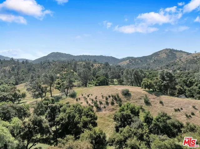 a view of a mountain range with a lush green forest
