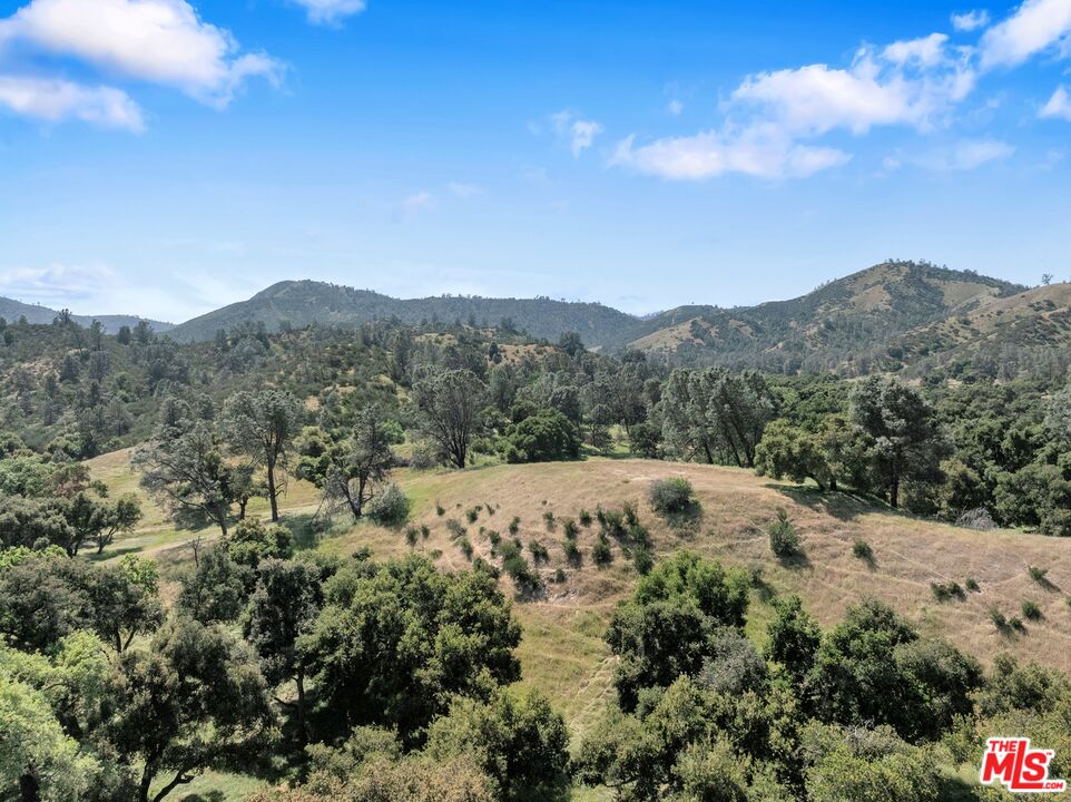 770 Limekiln Road Hollister, CA 95023 - Photo 3 of 39 a view of a mountain range with a lush green forest