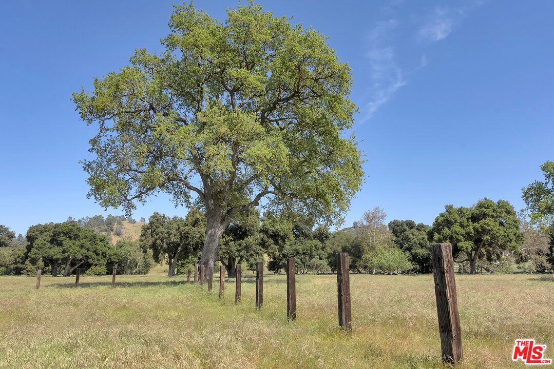 770 Limekiln Road Hollister, CA 95023 - Photo 31 of 39 a view of yard with trees