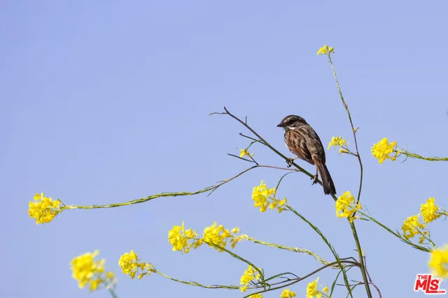 a room with gym equipment