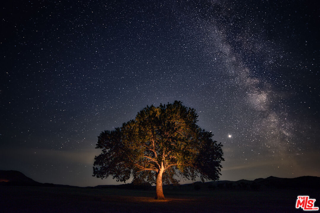 770 Limekiln Road Hollister, CA 95023 - Photo 39 of 39 a close up of a tree in a
