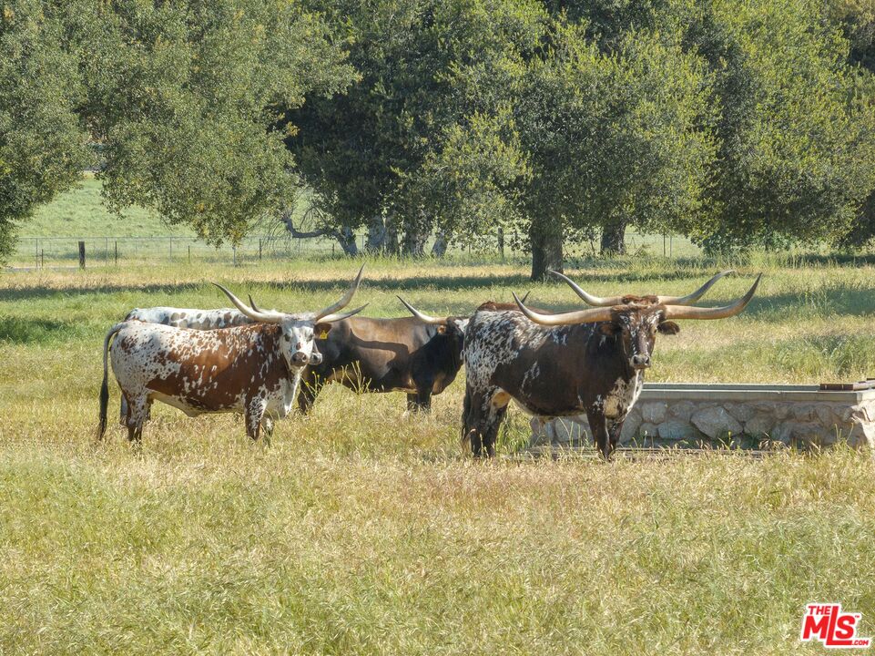 770 Limekiln Road Hollister, CA 95023 - Photo 10 of 39 a view of a swimming pool and outdoor space