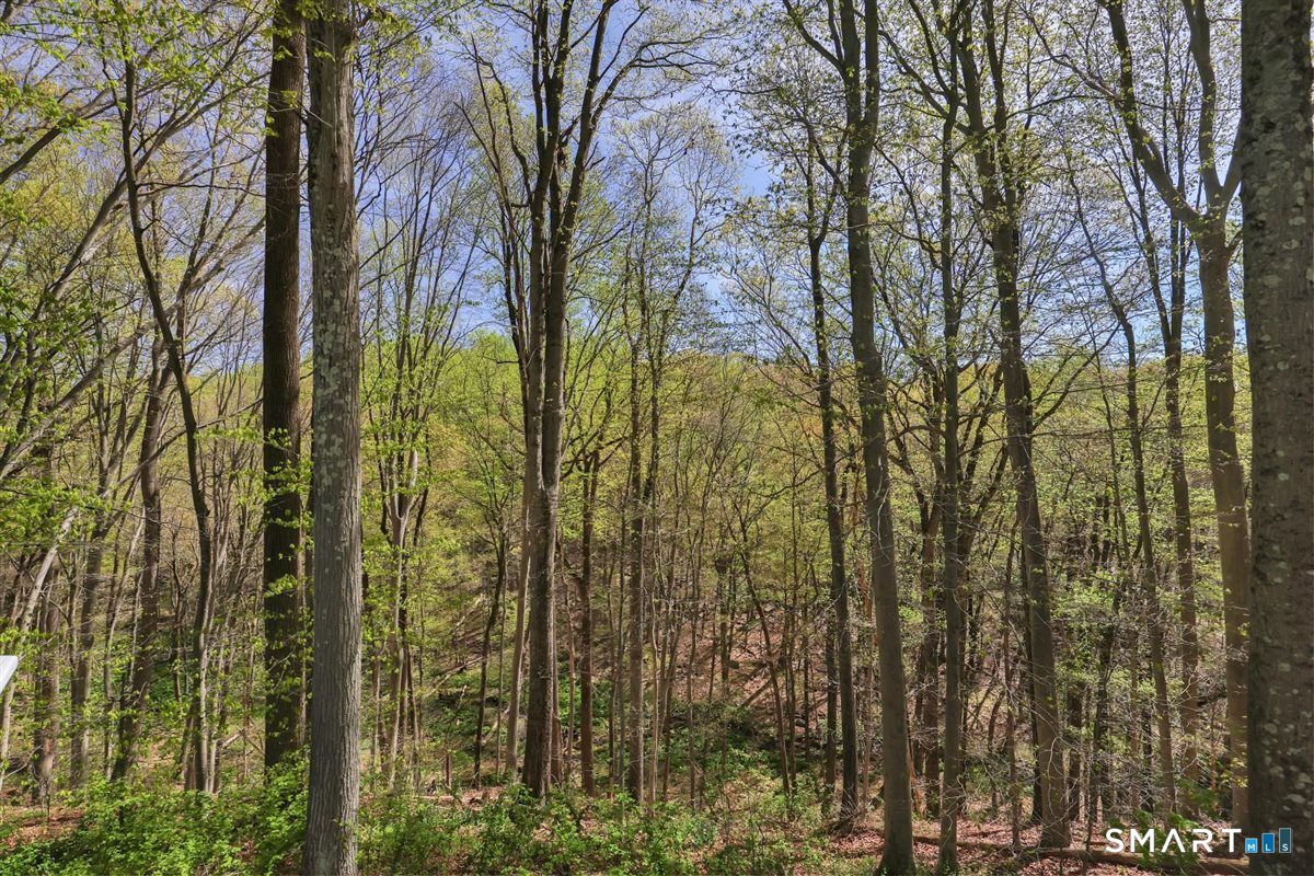 9 Academy Road Trumbull, CT 06611 - Photo 31 of 35 a view of a yard