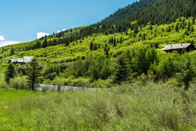 $1,390,000 | 54 Spruce Road, Basalt, CO 81621