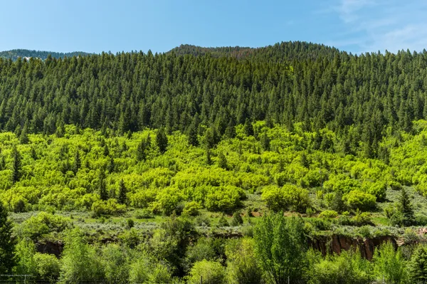 $1,295,000 | 54 Spruce Road, Basalt, CO 81621