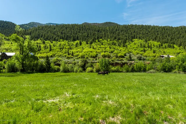 $1,390,000 | 54 Spruce Road, Basalt, CO 81621
