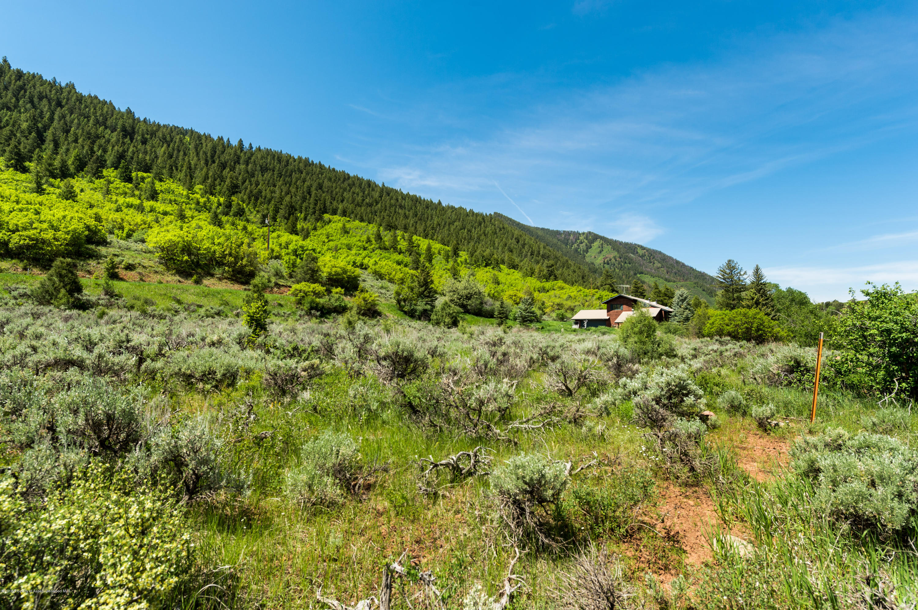 54 Spruce Road Basalt, CO 81621 - Photo 8 of 17 View from the lot