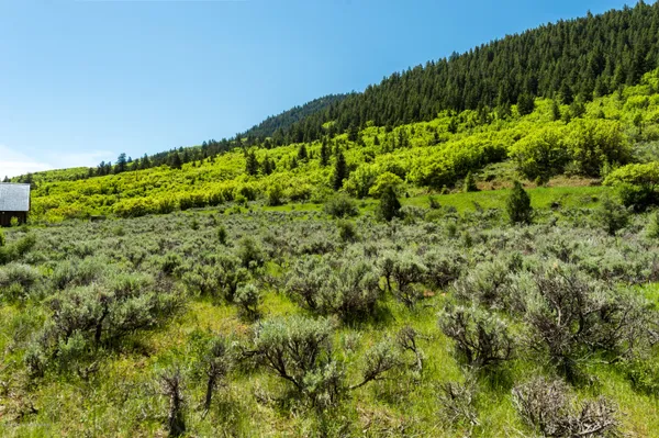 $1,295,000 | 54 Spruce Road, Basalt, CO 81621