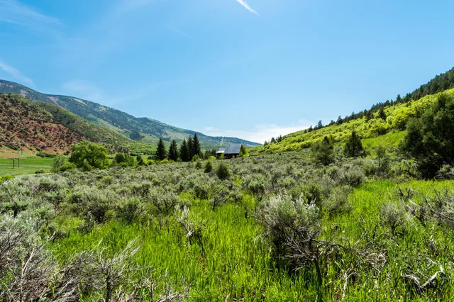 $1,390,000 | 54 Spruce Road, Basalt, CO 81621