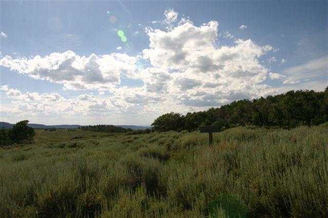 3275 56V Road Placerville, CO 81430 - Photo 4 of 7 The homesite