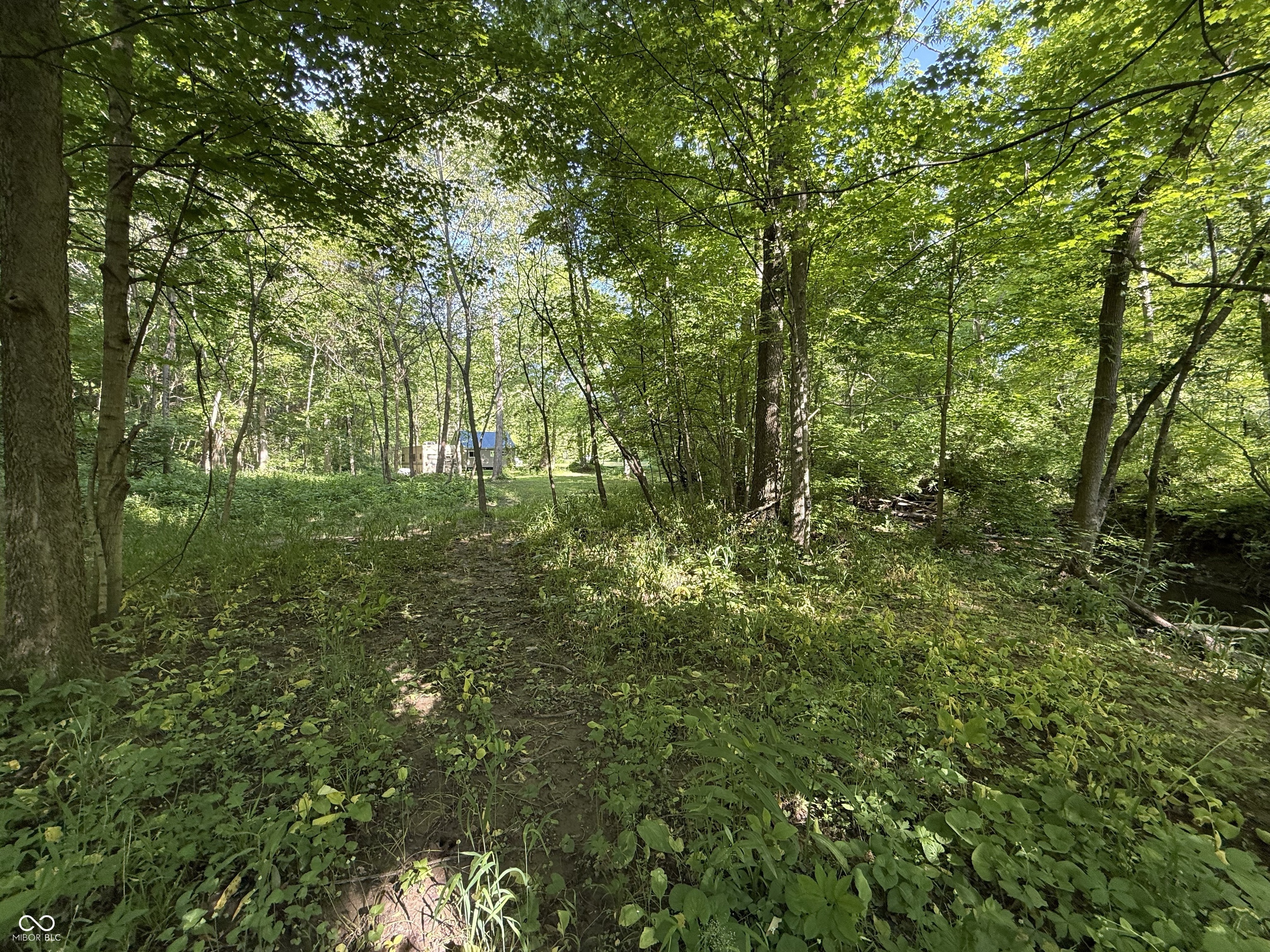 9840 North Kennedys Crossing Road Brazil, IN 47834 - Photo 20 of 27