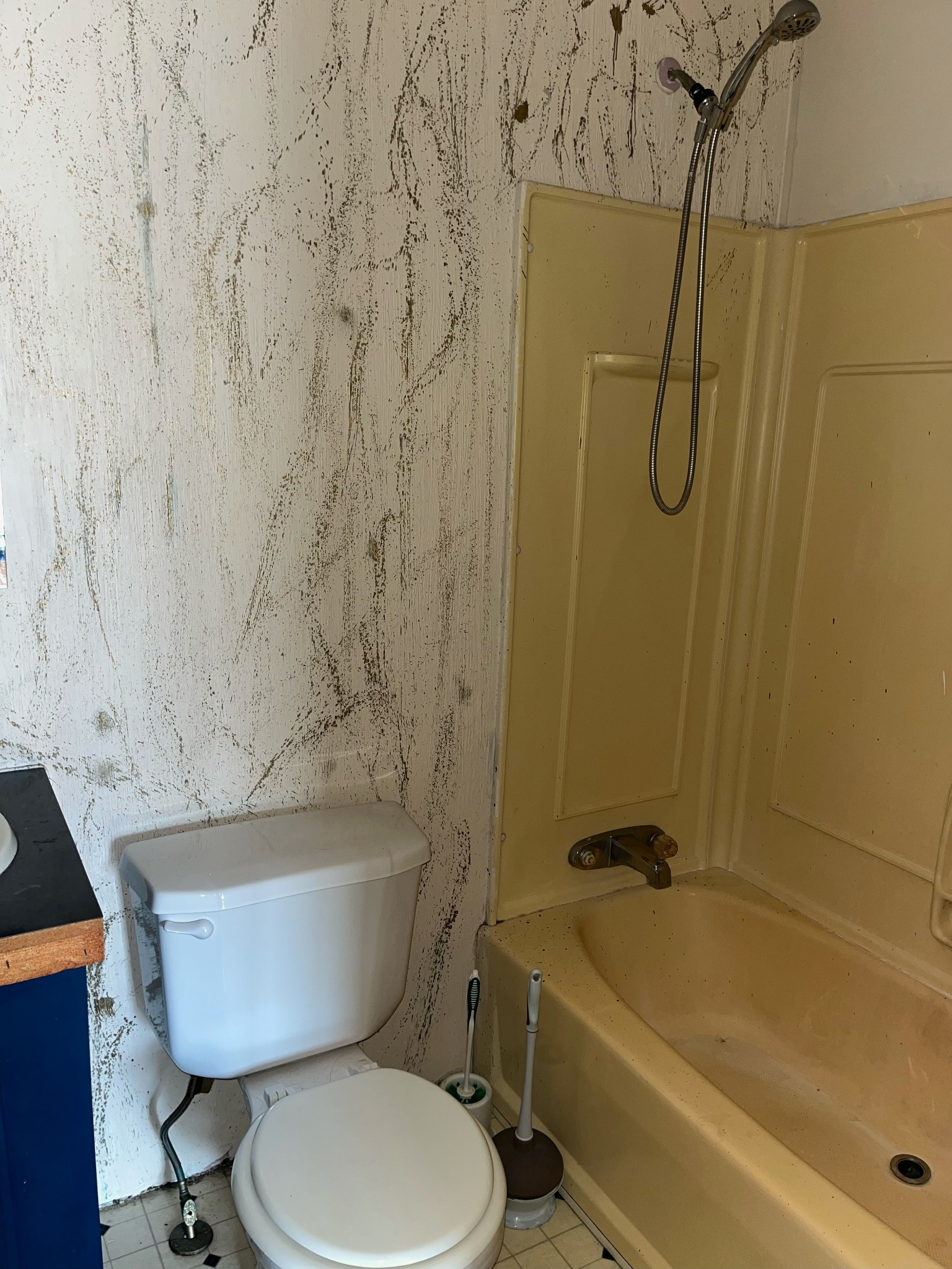 3003 Quarry Road Mount Juliet, TN 37122 - Photo 8 of 13 a bathroom with a toilet bathtub and shower