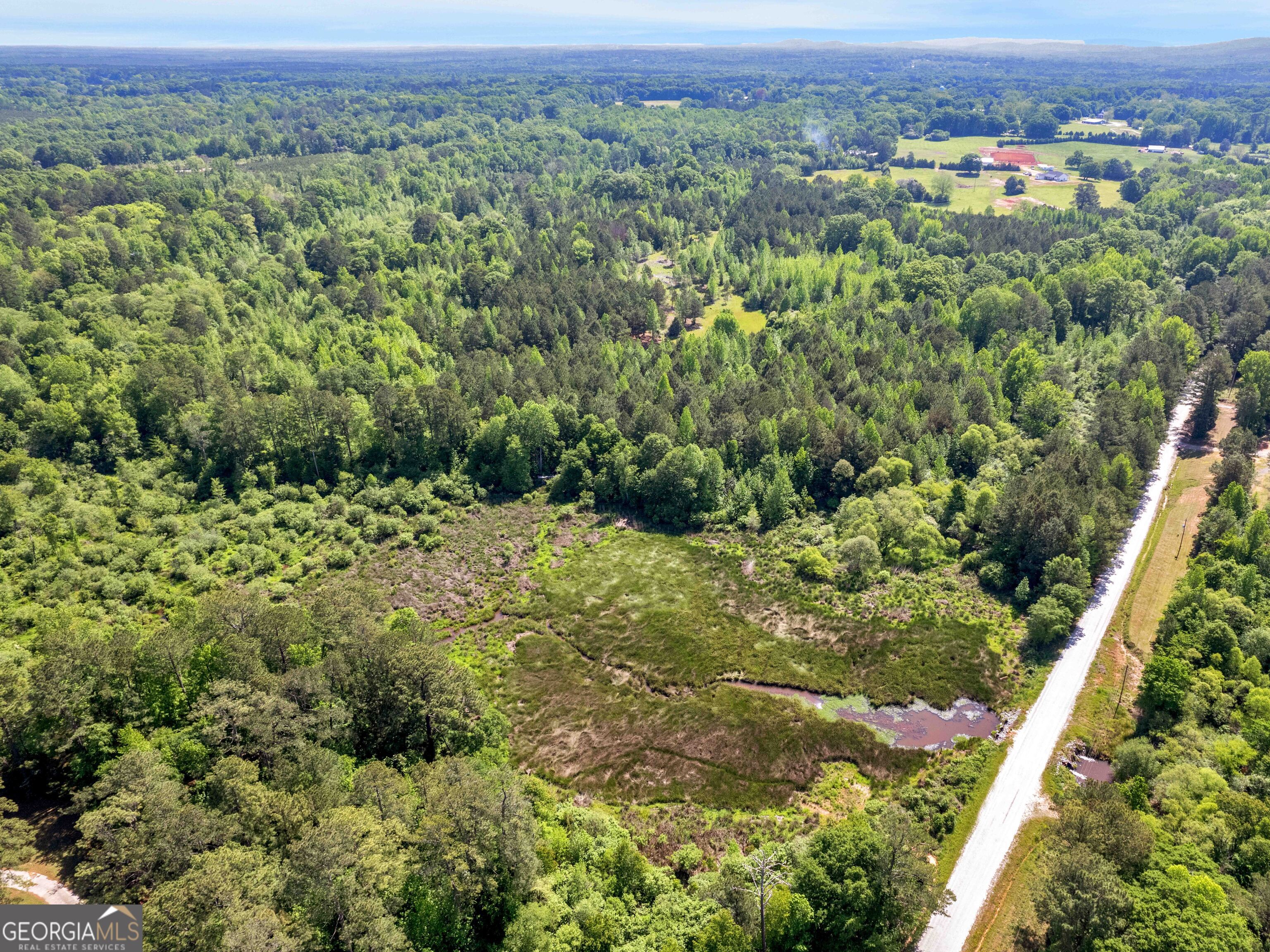 0 Bagwell Road Molena, GA 30258 - Photo 11 of 13