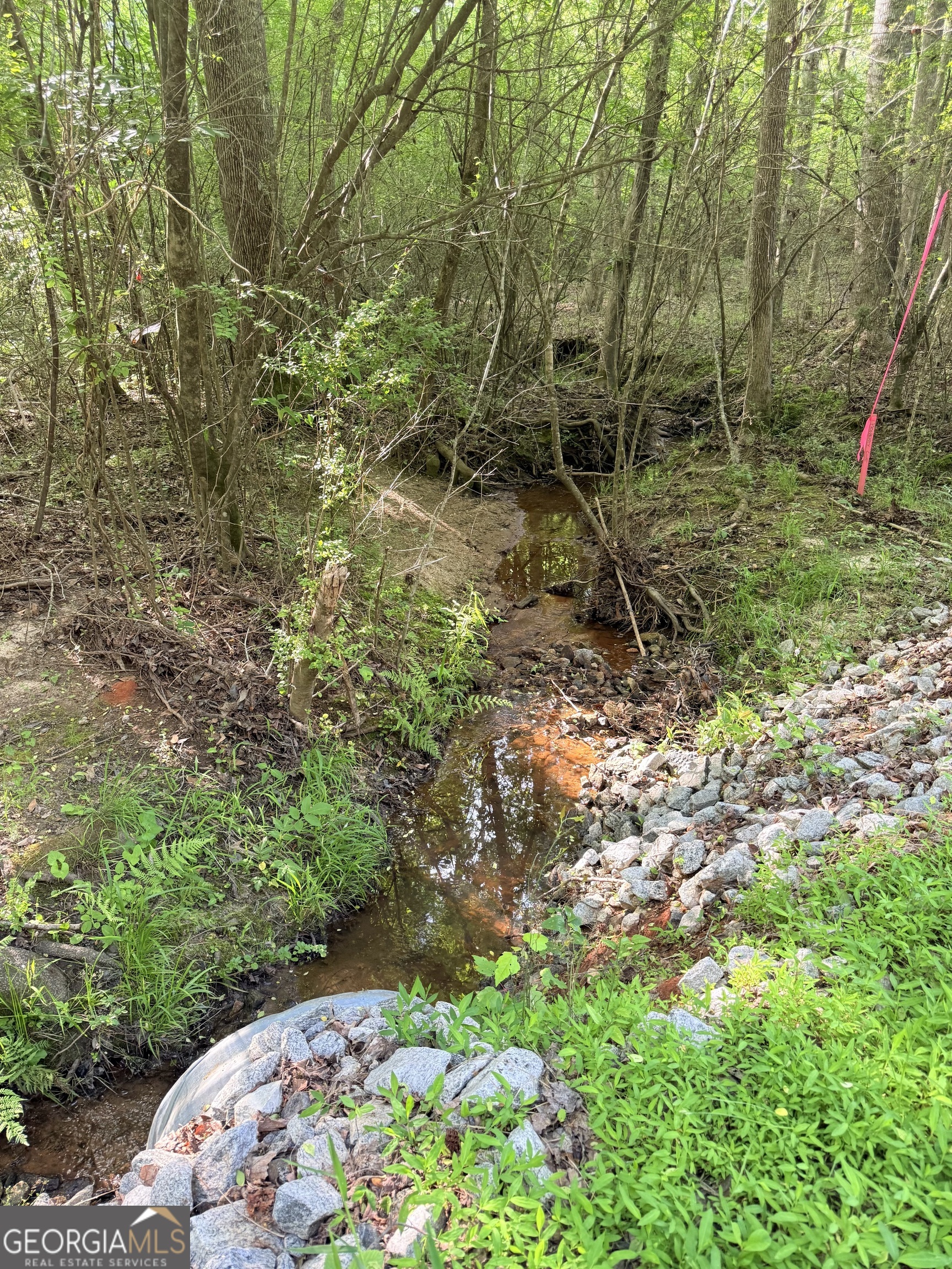 0 Bagwell Road Molena, GA 30258 - Photo 3 of 13