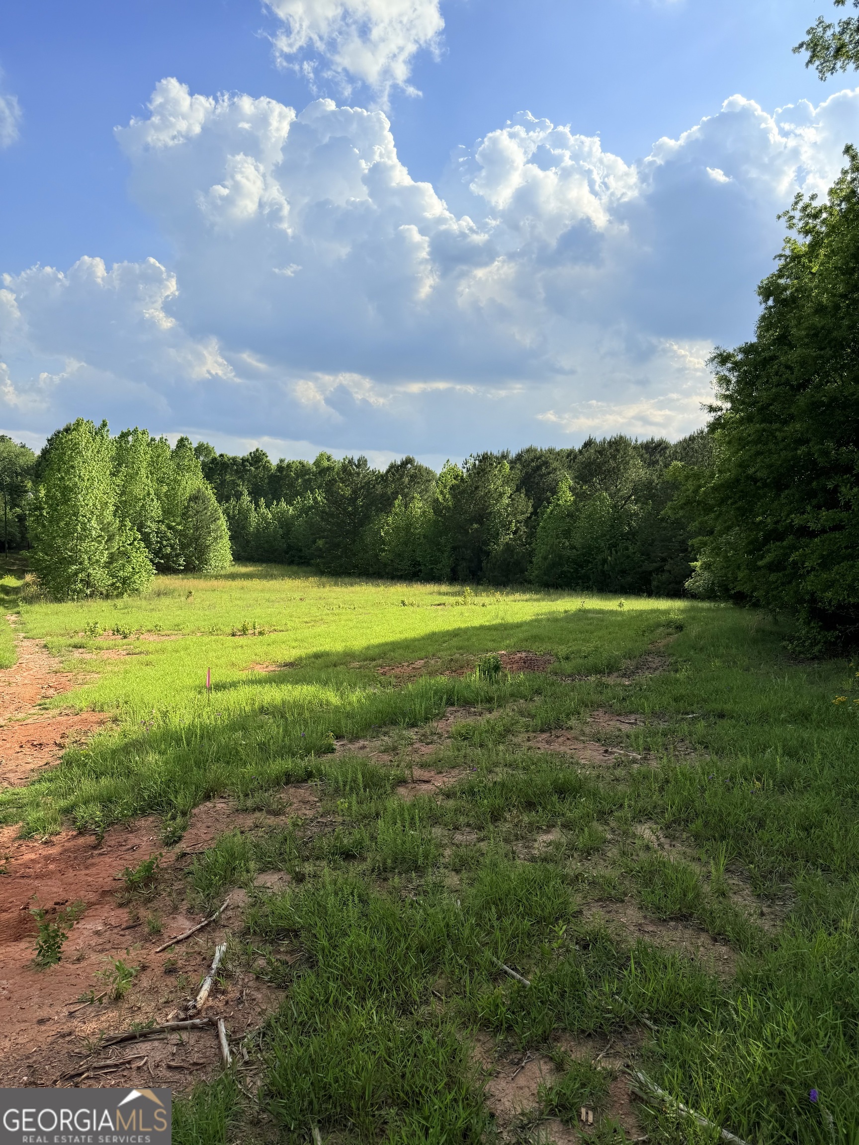 0 Bagwell Road Molena, GA 30258 - Photo 4 of 13