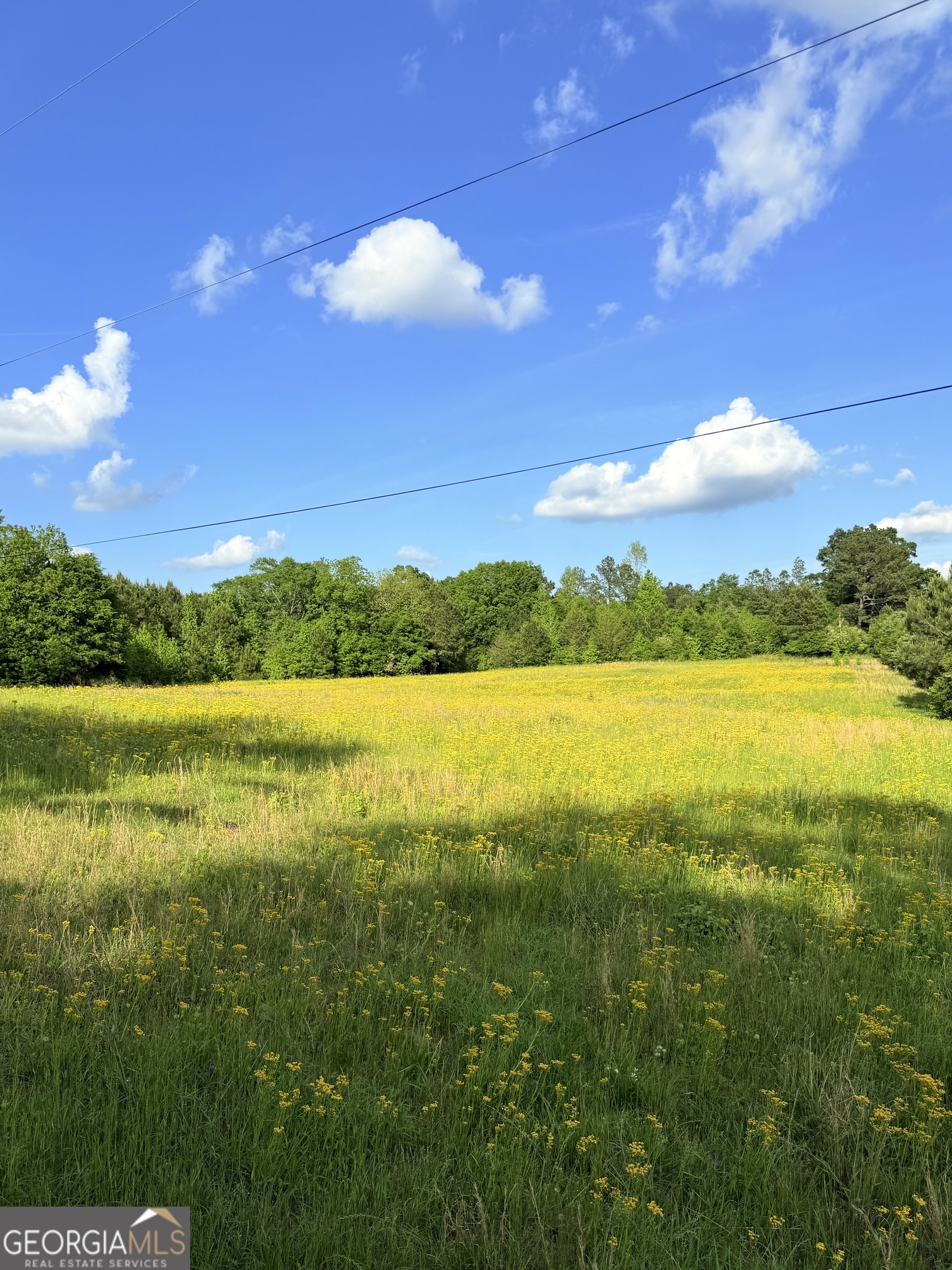 0 Bagwell Road Molena, GA 30258 - Photo 5 of 13