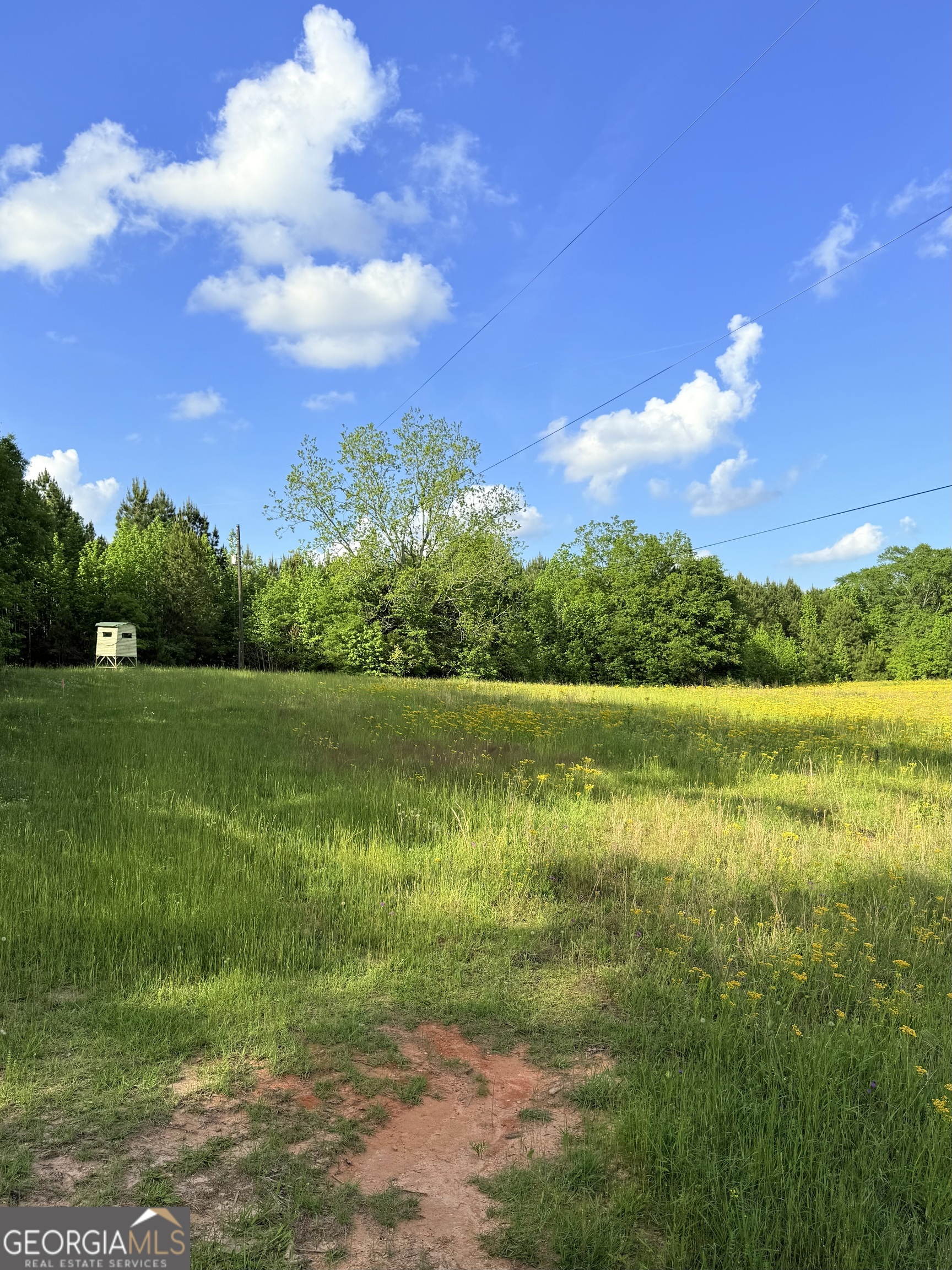 0 Bagwell Road Molena, GA 30258 - Photo 6 of 13