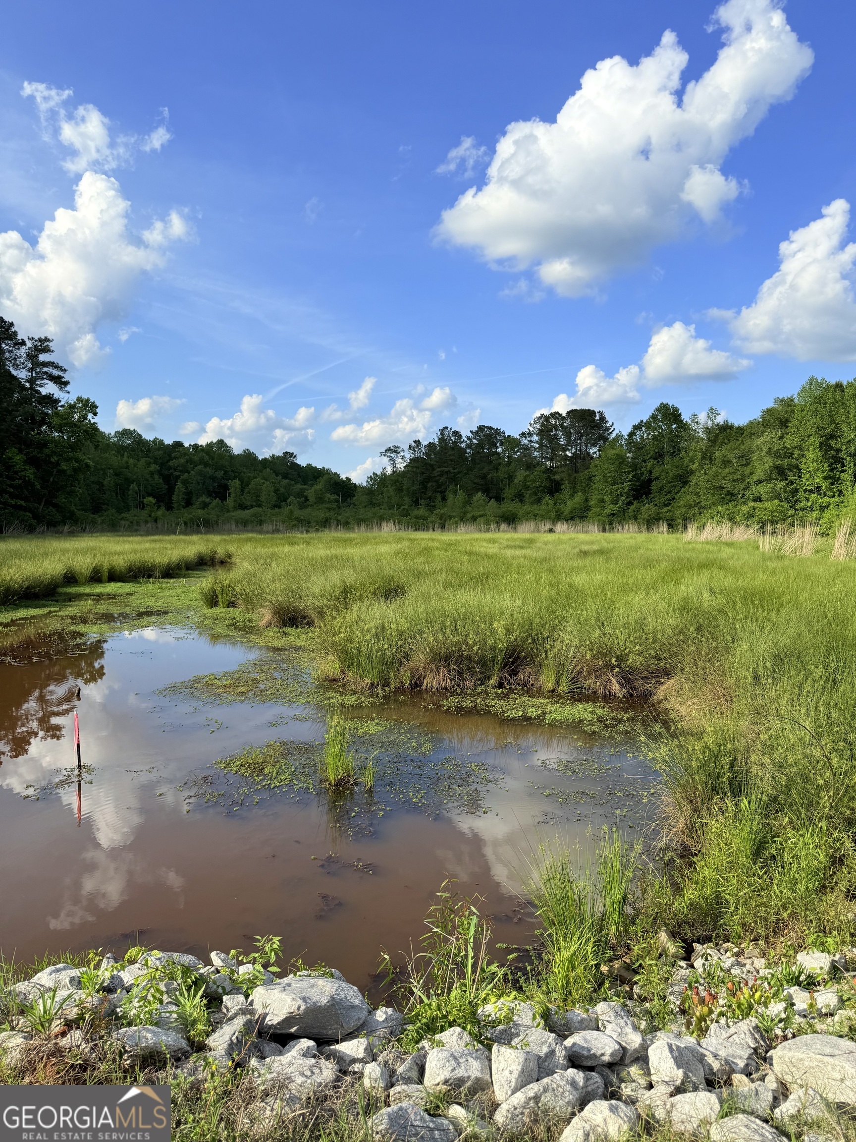 0 Bagwell Road Molena, GA 30258 - Photo 7 of 13