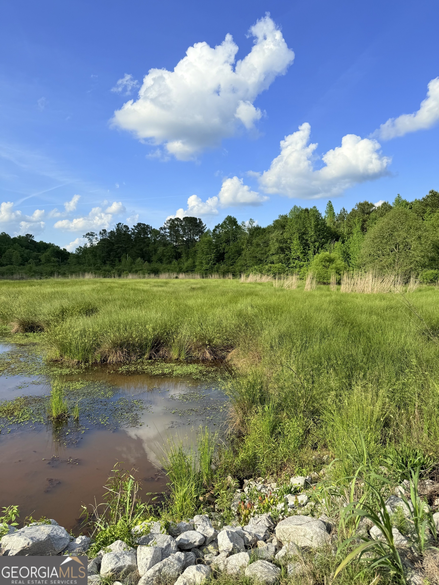 0 Bagwell Road Molena, GA 30258 - Photo 8 of 13