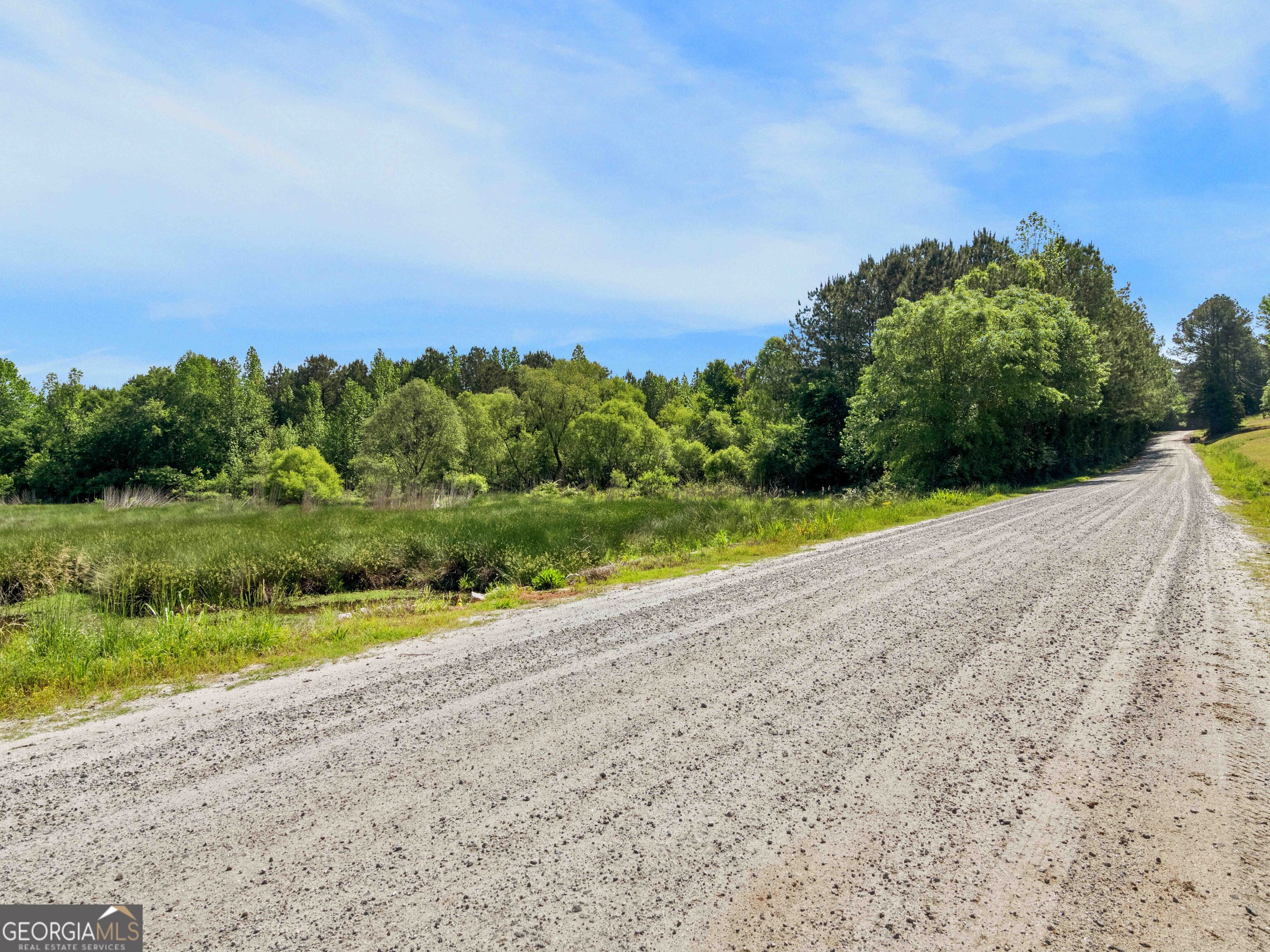 0 Bagwell Road Molena, GA 30258 - Photo 9 of 13