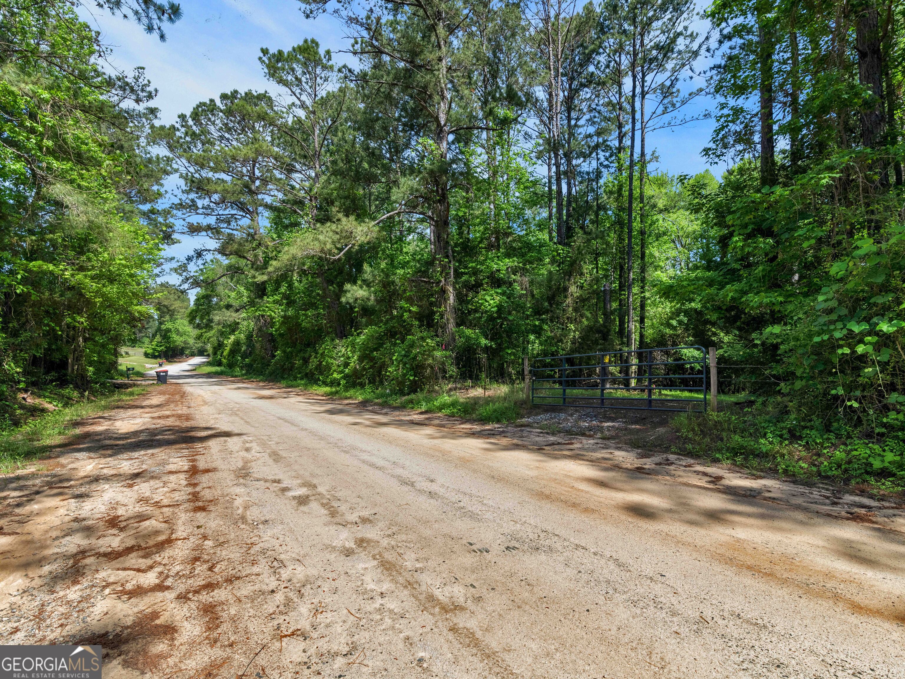 0 Bagwell Road Molena, GA 30258 - Photo 10 of 13