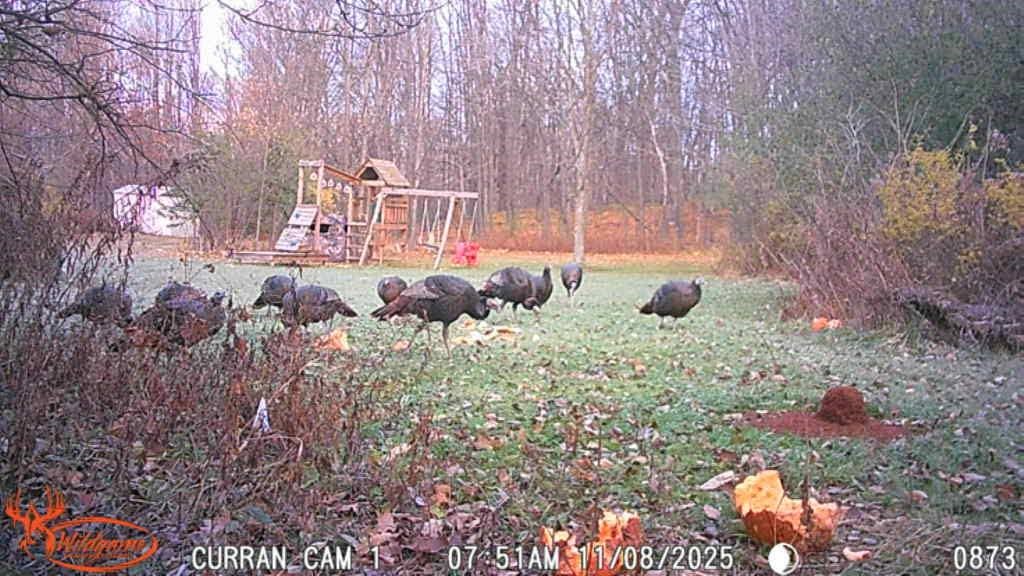 N7265 County Rd BB Spring Valley, WI 54767 - Photo 34 of 41