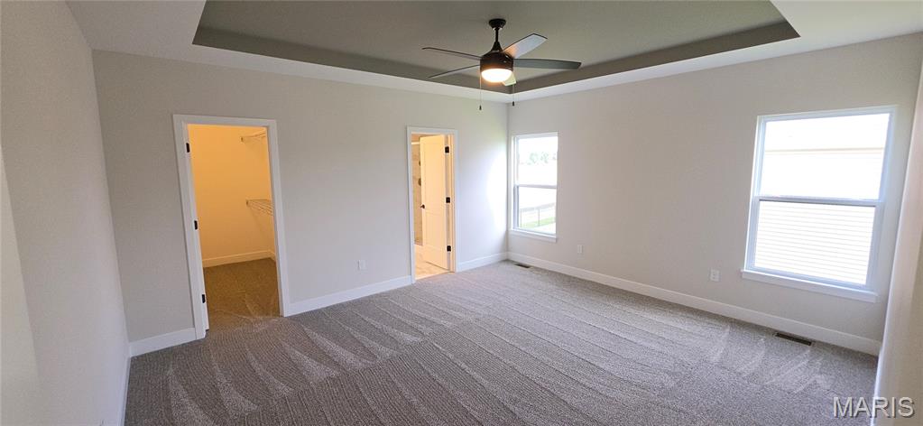 1438 Montauk Road Troy, IL 62294 - Photo 38 of 98