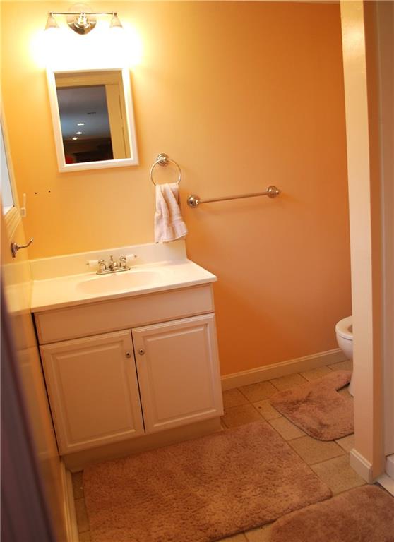 250 Crestmont Road Pittsburgh, PA 15237 - Photo 13 of 23 Lower level Bathroom with Shower