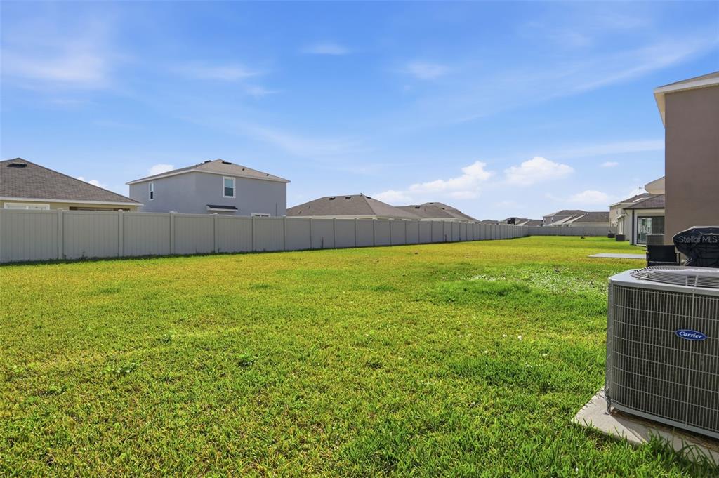 3844 Sunny Spring Street Plant City, FL 33565 - Photo 18 of 26 a view of a house with a yard and a large tree