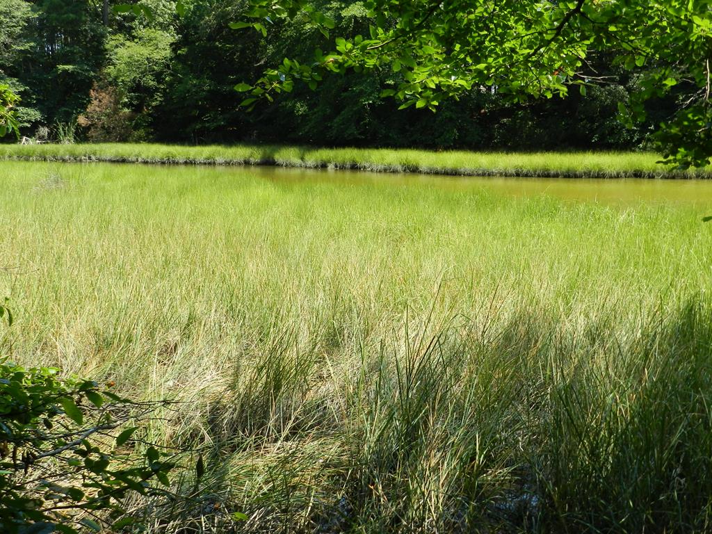 Lot B5 Saltworks Road, Unit B5 Exmore, VA 23350 - Photo 13 of 16