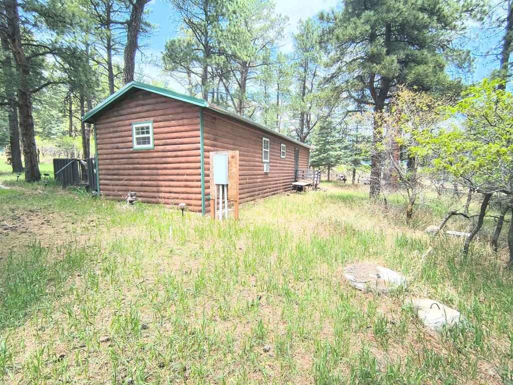 10594 Charles Lane Rye, CO 81069 - Photo 3 of 14