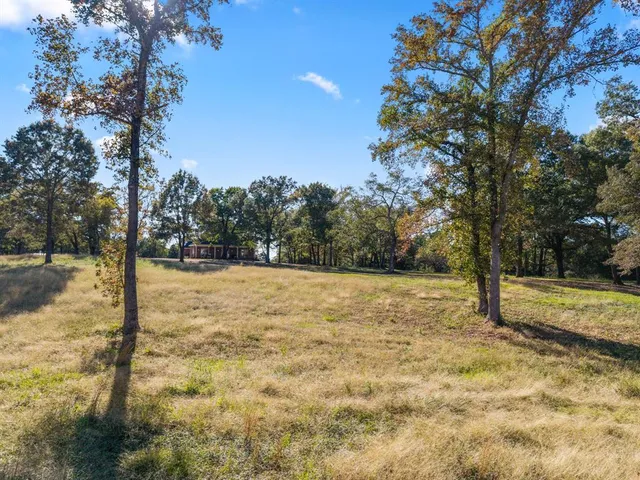 a view of yard with trees