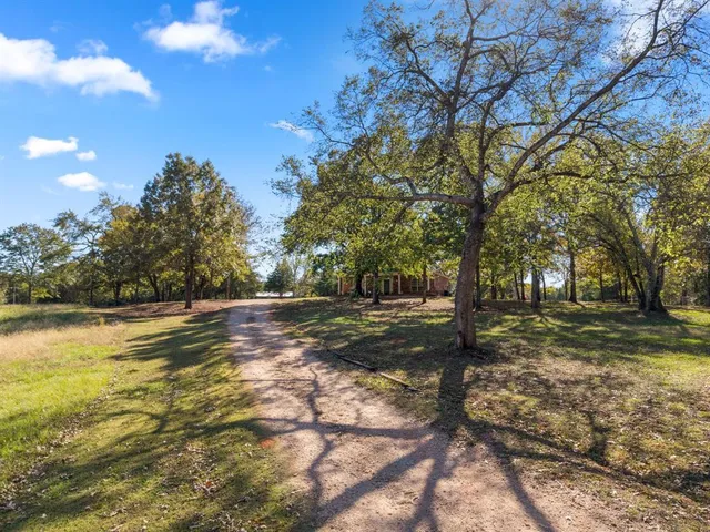 a view of a yard with trees