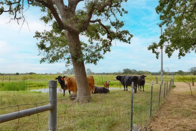 a view of a lake from a yard