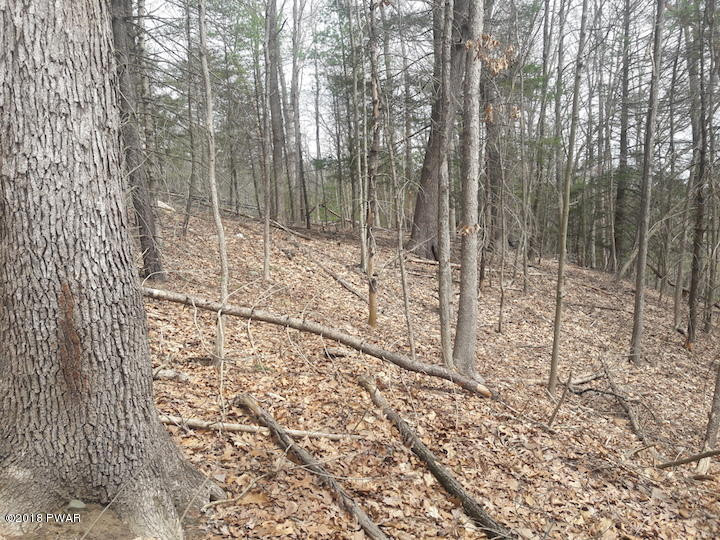 Christian Hill Road Milford, PA 18337 - Photo 20 of 22