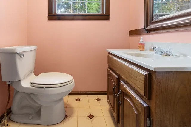 a bathroom with a sink and a toilet